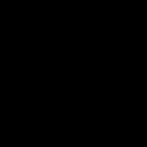 Meet your Posher, Geraldine